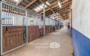 Stallgasse - weitere Paddockboxen - Rotenburg – Scheeßel I Top ausgestattete Reitanlage mit Reithalle, ein Zuhause für Pferd und Mensch